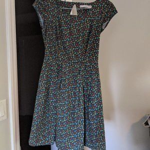 Birds of North America Gnatcatcher Dress (Size 6)